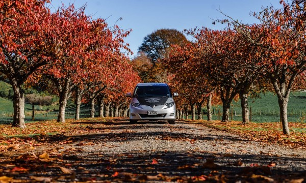 Autumn road trip in NZ