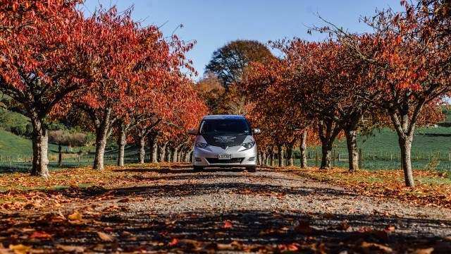 Autumn road trip in NZ