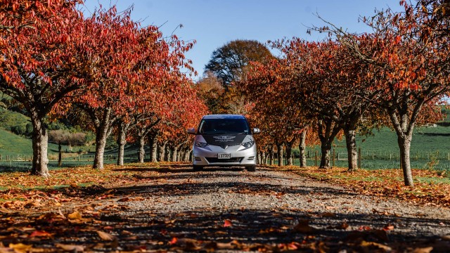 Autumn road trip in NZ