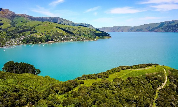 Spaceships conservation project Akaroa