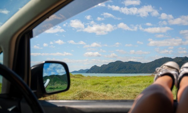 View from window friday