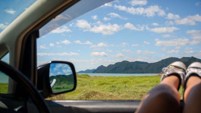 View from window friday