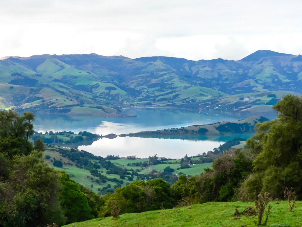 Akaroa: a must-see on you road trip from Christchurch to Auckland