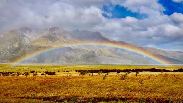 Autumn in New Zealand rainbow Stray