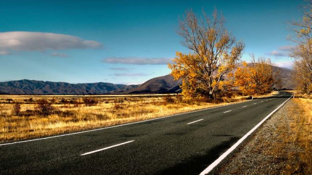 Autumn road Bernard Spragg. NZ public domain web