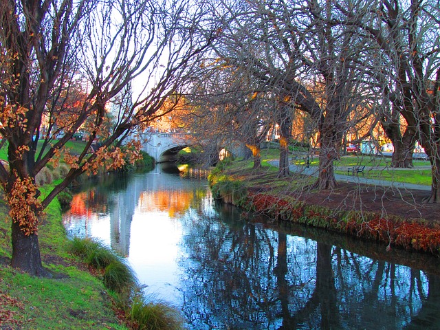 Go for a strolll along the Avon River in Christchurch