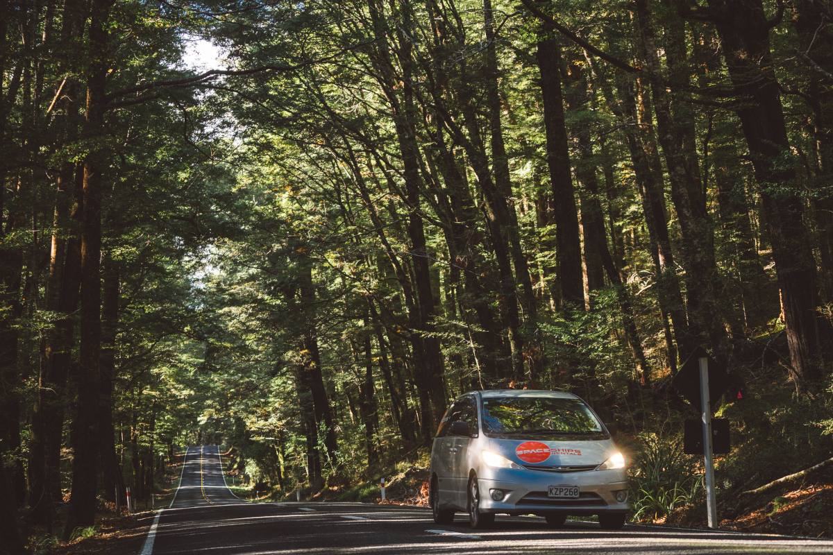 Campervan driving on a forest road with trees towering over each side