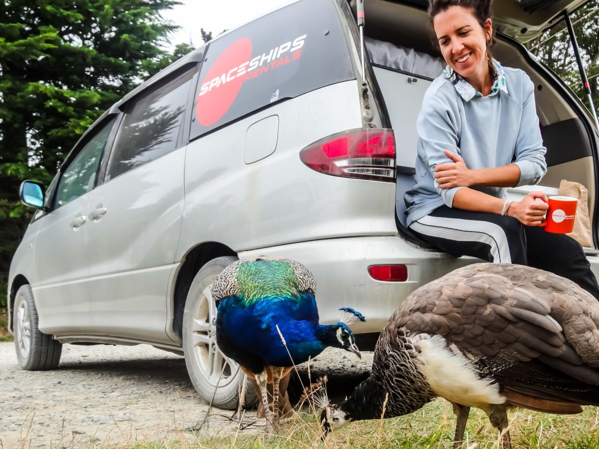 Space Traveller sitting on campervan's bumper to meet &amp;amp;amp;amp;amp;amp;amp;amp;amp;amp;amp;amp;amp;amp;amp;amp;amp;amp;amp;amp;amp;amp;amp;amp;amp;amp;amp;amp;amp;amp;amp;amp;amp;amp;amp;amp;amp;amp;amp;amp;amp;amp;amp;amp;amp;amp;amp;amp;amp;amp;amp;amp;amp;amp;amp;amp;amp;amp;amp;amp;amp;amp;amp;amp;amp;amp;amp;amp; see the locals aka local birds