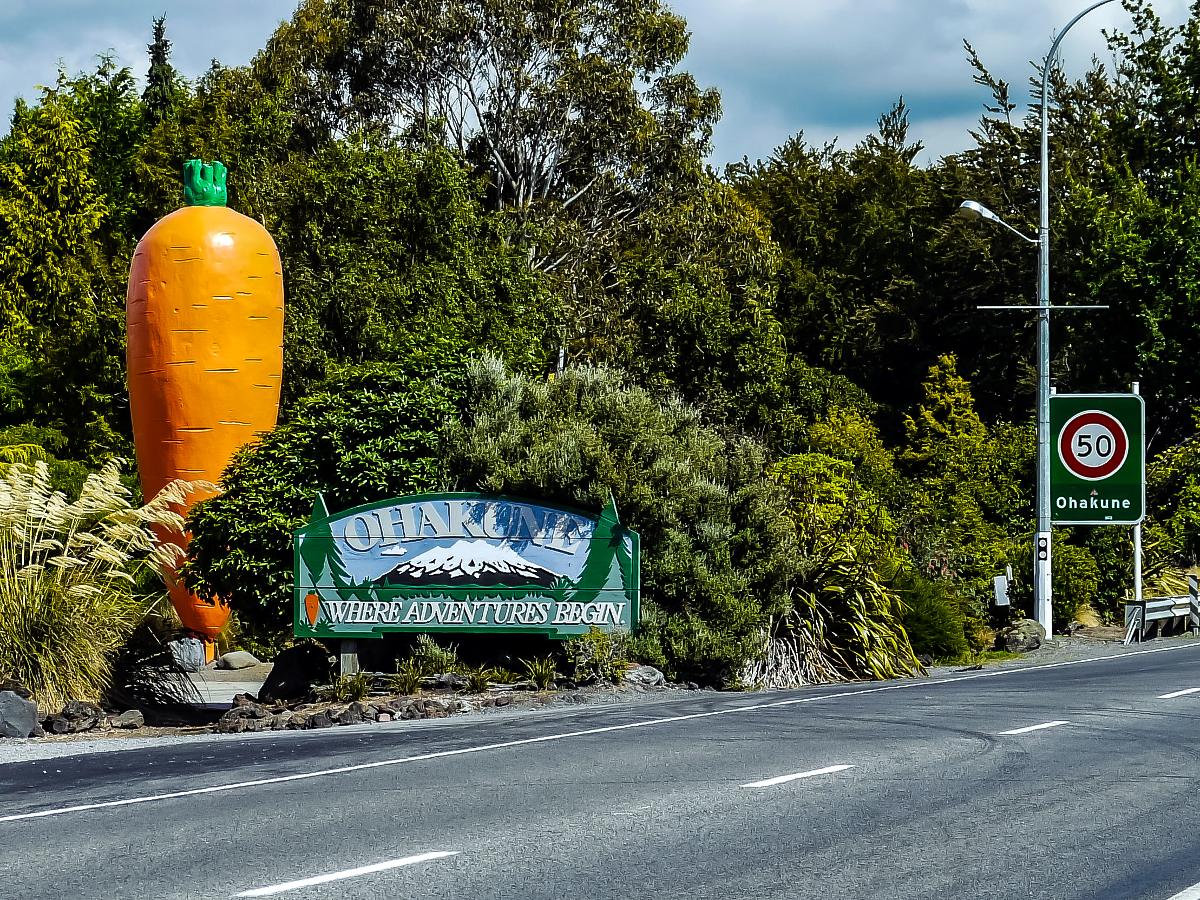 Ohakune Carrot Yortw (CC BY NC 2.0)