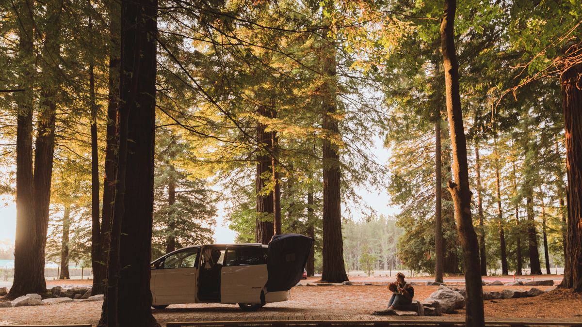 Space Traveller sitting &amp;amp;amp;amp;amp;amp;amp;amp;amp;amp;amp; drinking coffee in Redwoords forest in Rotorua