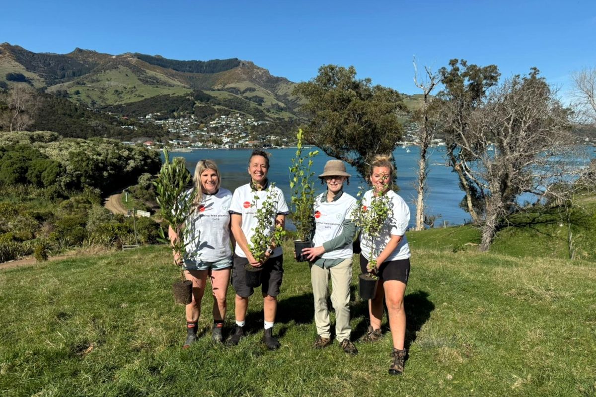 Team Spaceships is ready for the 2025 tree planting session Spaceships Crew Members in Akaroa