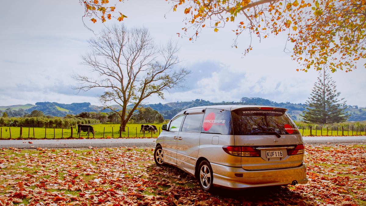 Spaceships campervan parked on a bed of leafs - lots of autumn colours around
