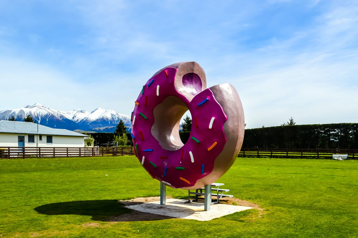 Springfield NZ Donut - Mattinbgn