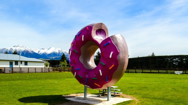 Springfield NZ Donut 002 Mattinbgn web